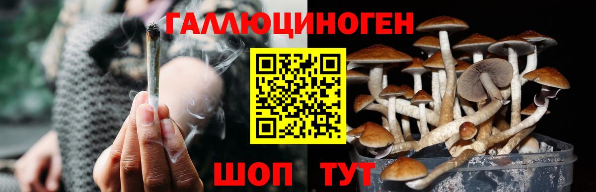 Слободской  Псилоцибиновые грибы ЛСД  Вход с VPN 